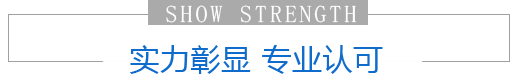 实力彰显,专业认可